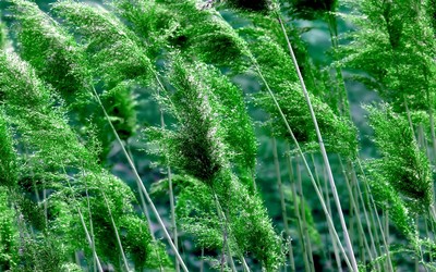 Sustainability